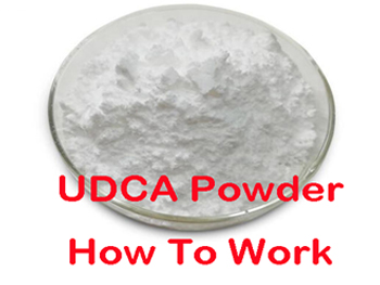 How Does Ursodeoxycholic Acid Work?